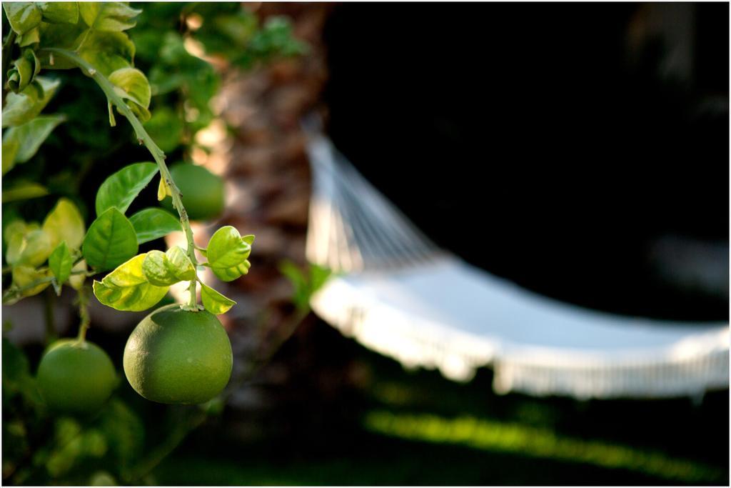 Ai Parchi Dei Parrini Bed & Breakfast Partinico Bagian luar foto